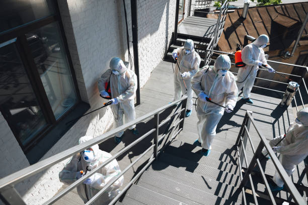  Deerfield, MI Mold Removal Pros