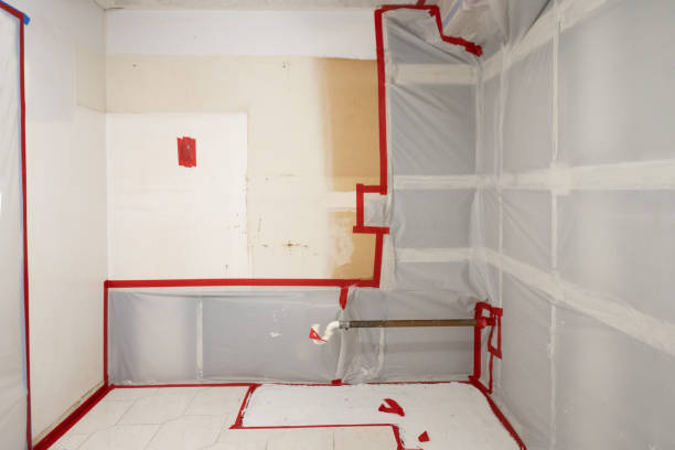 Dehumidification Services in Deerfield, MI