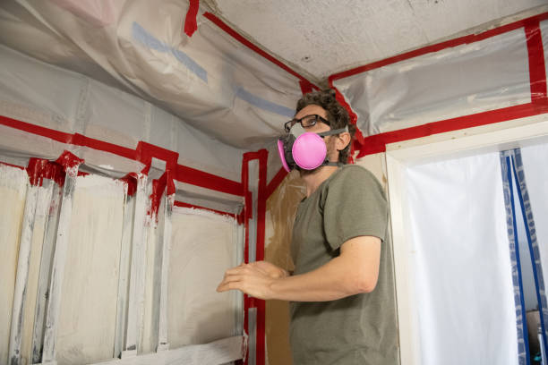 Best Residential Mold Inspection & Testing  in Deerfield, MI