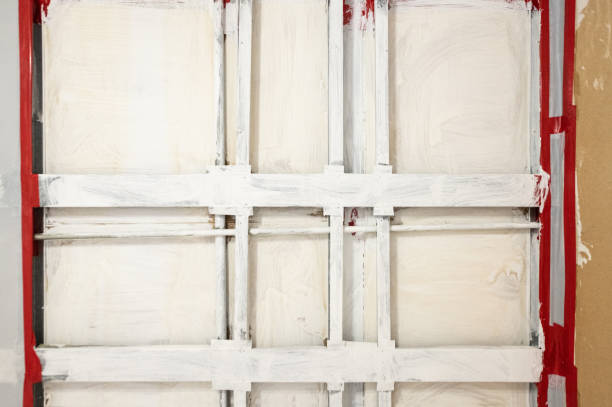 Best Asbestos and Lead Testing During Mold Inspection  in Deerfield, MI