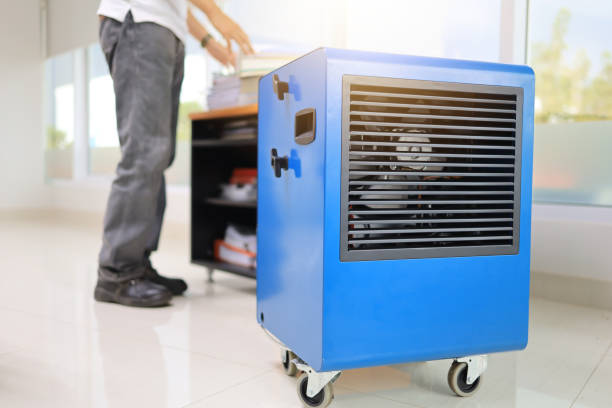Best Black Mold Removal  in Deerfield, MI