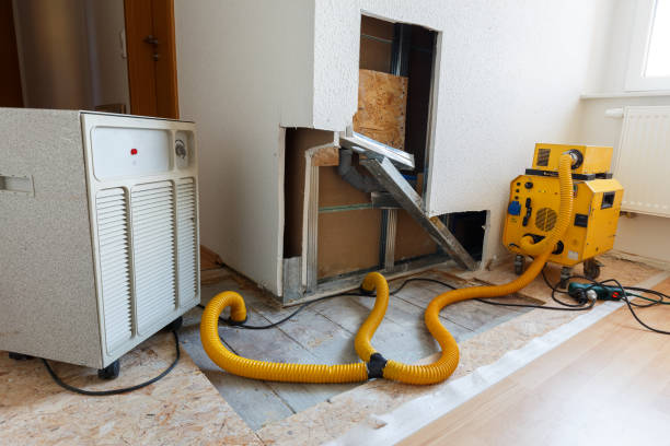 Best Mold Documentation for Insurance Claims  in Deerfield, MI