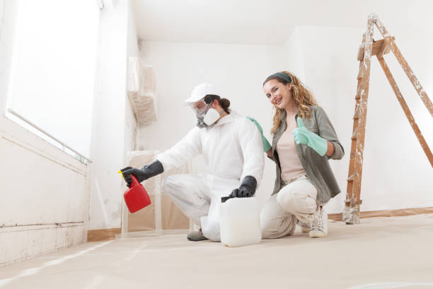 Mold Documentation for Insurance Claims in Deerfield, MI