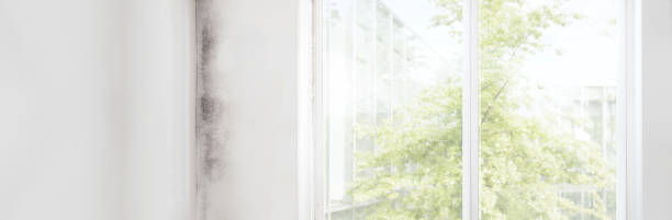 Best HVAC Mold Inspection and Cleaning  in Deerfield, MI