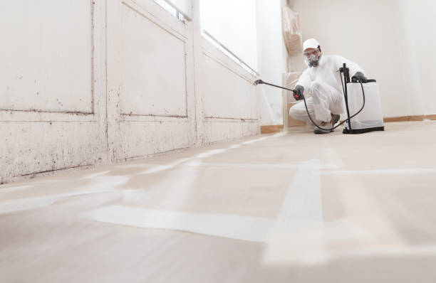 Best Mold Removal for HVAC Installations  in Deerfield, MI