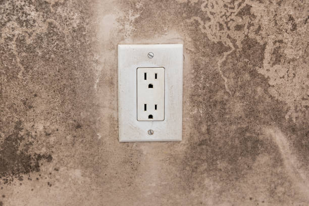 Reliable Deerfield, MI Mold Removal Solutions